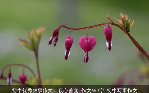 初中优秀叙事作文：我心善变_作文650字_初中写事作文