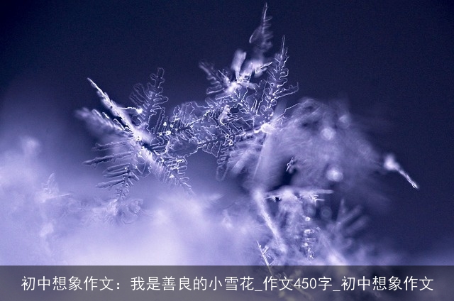 初中想象作文：我是善良的小雪花_作文450字_初中想象作文