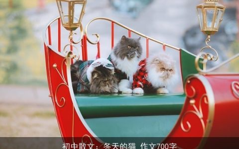 初中散文：冬天的猫_作文700字