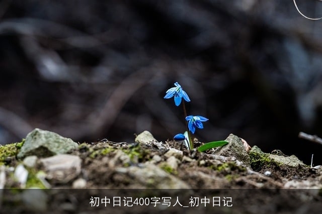 初中日记400字写人_初中日记