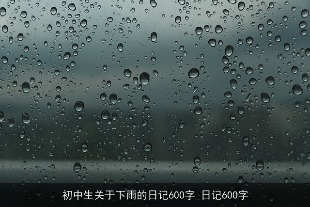 初中生关于下雨的日记600字_日记600字