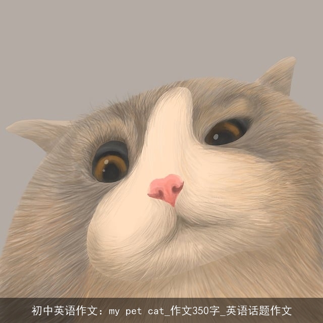 初中英语作文：my pet cat_作文350字_英语话题作文