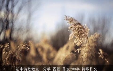 初中诗歌散文：分手 祝福_作文200字_诗歌作文