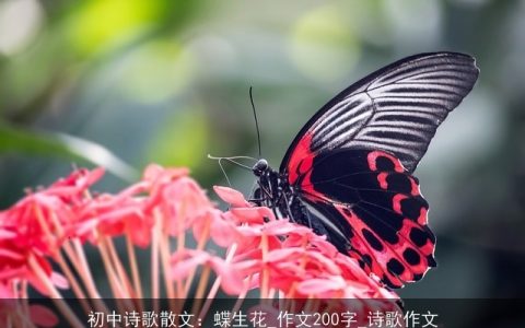 初中诗歌散文：蝶生花_作文200字_诗歌作文