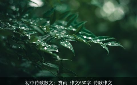 初中诗歌散文：赏雨_作文550字_诗歌作文