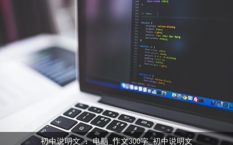 初中说明文 ：电脑_作文300字_初中说明文