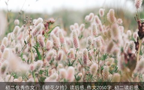 初二优秀作文：《朝花夕拾》读后感_作文2050字_初二读后感