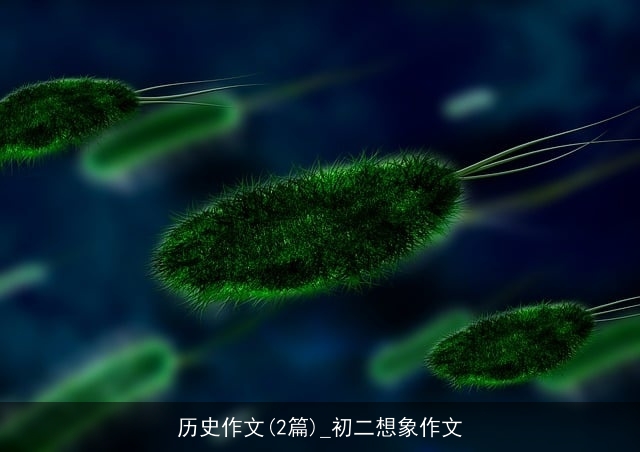 历史作文(2篇)_初二想象作文