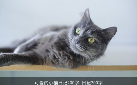 可爱的小猫日记200字_日记200字