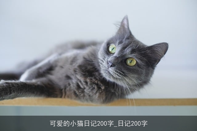 可爱的小猫日记200字_日记200字