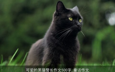 可爱的黑猫警长作文500字_童话作文