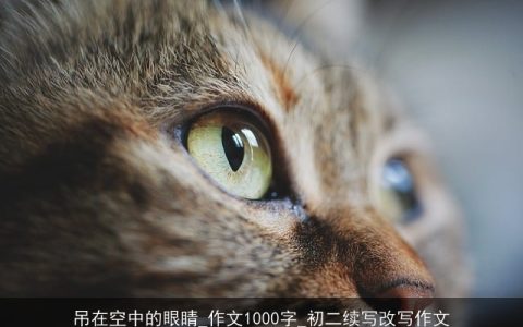 吊在空中的眼睛_作文1000字_初二续写改写作文