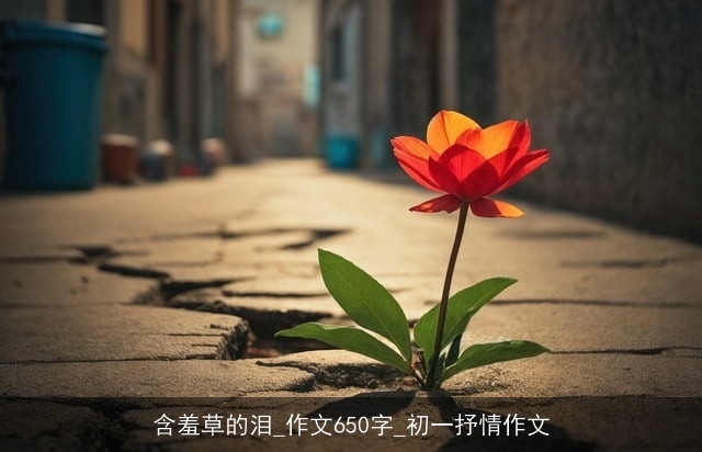 含羞草的泪_作文650字_初一抒情作文