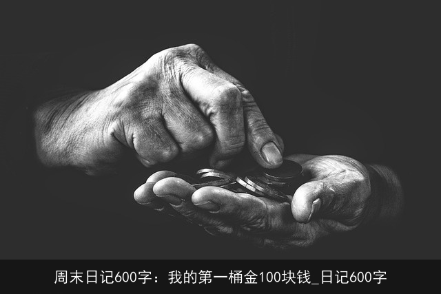 周末日记600字：我的第一桶金100块钱_日记600字