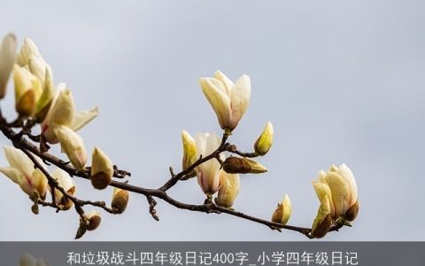 和垃圾战斗四年级日记400字_小学四年级日记