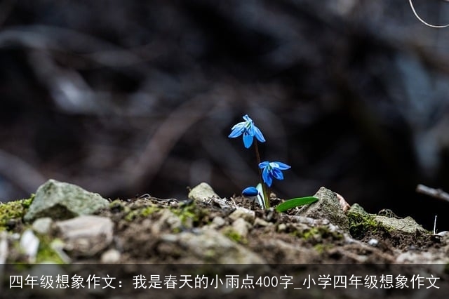 四年级想象作文：我是春天的小雨点400字_小学四年级想象作文