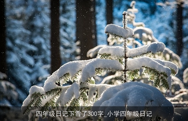 四年级日记下雪了300字_小学四年级日记