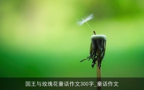 国王与玫瑰花童话作文300字_童话作文