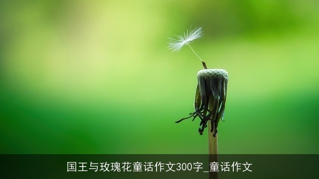 国王与玫瑰花童话作文300字_童话作文