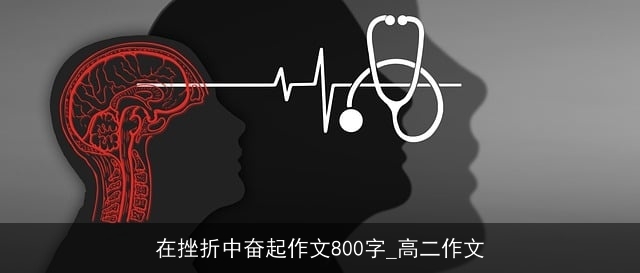 在挫折中奋起作文800字_高二作文