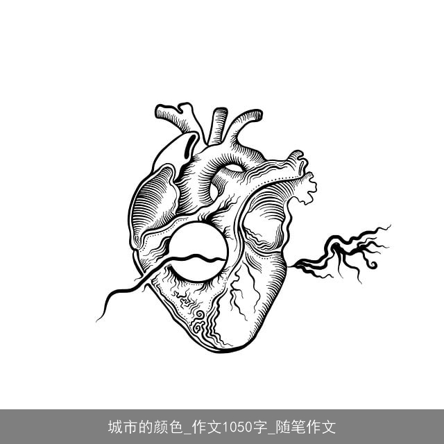 城市的颜色_作文1050字_随笔作文