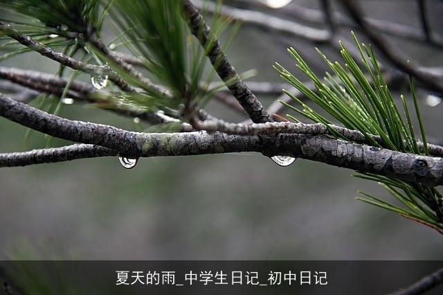 夏天的雨_中学生日记_初中日记