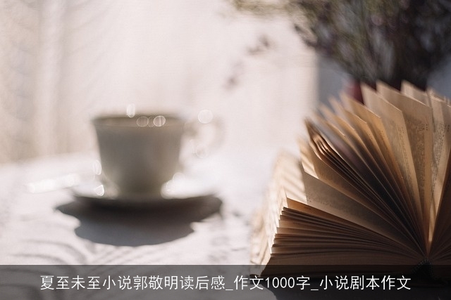 夏至未至小说郭敬明读后感_作文1000字_小说剧本作文