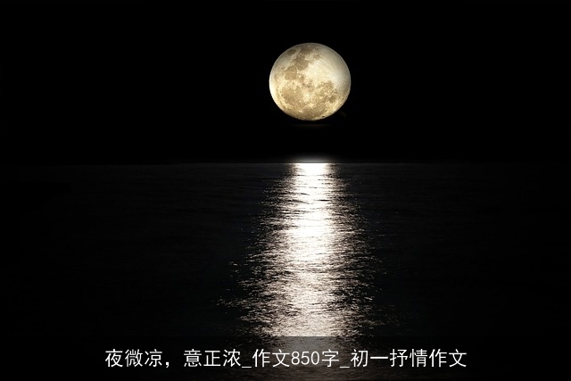 夜微凉，意正浓_作文850字_初一抒情作文