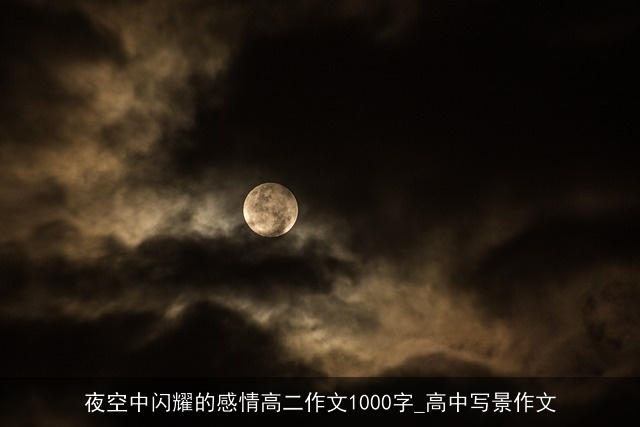 夜空中闪耀的感情高二作文1000字_高中写景作文