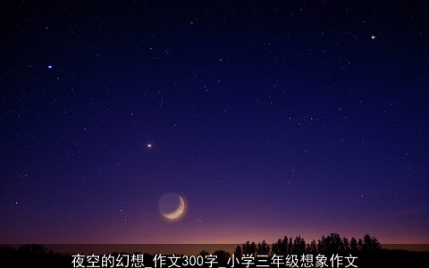 夜空的幻想_作文300字_小学三年级想象作文