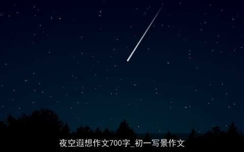 夜空遐想作文700字_初一写景作文