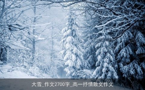 大雪_作文2700字_高一抒情散文作文