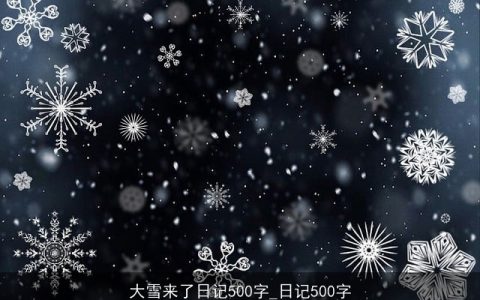 大雪来了日记500字_日记500字