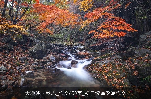 天净沙·秋思_作文650字_初三续写改写作文