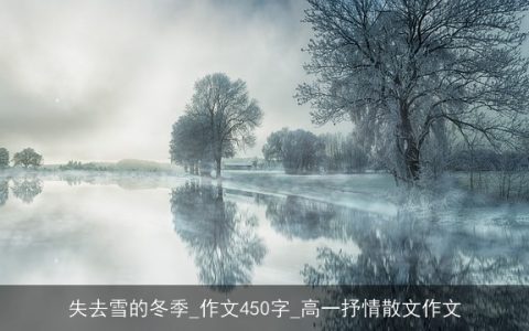 失去雪的冬季_作文450字_高一抒情散文作文