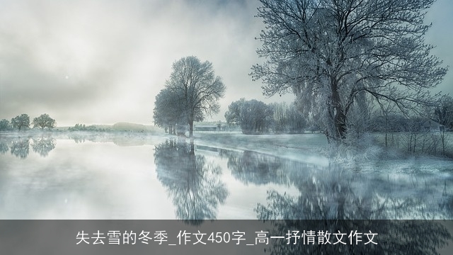 失去雪的冬季_作文450字_高一抒情散文作文