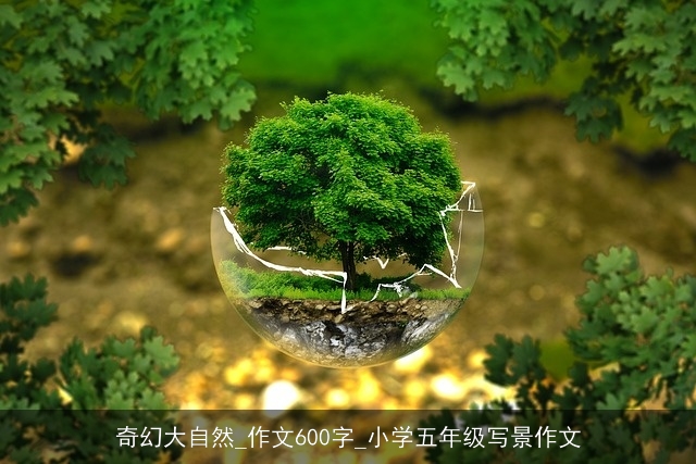 奇幻大自然_作文600字_小学五年级写景作文