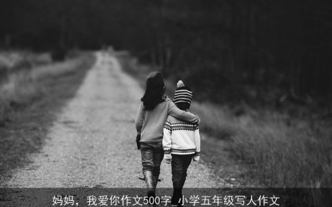 妈妈，我爱你作文500字_小学五年级写人作文