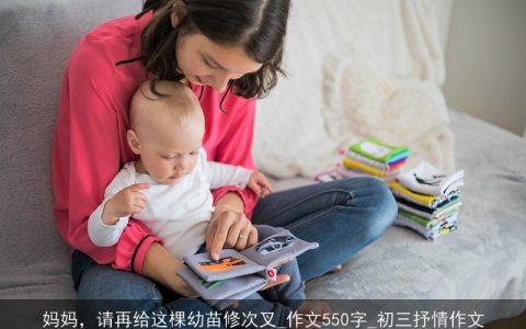 妈妈，请再给这棵幼苗修次叉_作文550字_初三抒情作文