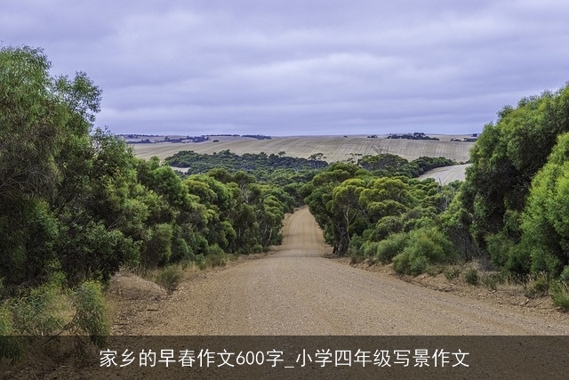 家乡的早春作文600字_小学四年级写景作文