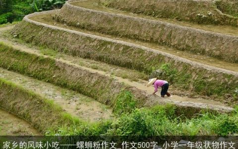 家乡的风味小吃——螺蛳粉作文_作文500字_小学一年级状物作文