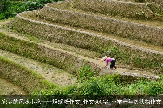 家乡的风味小吃——螺蛳粉作文_作文500字_小学一年级状物作文