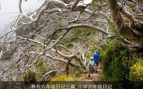 寒假六年级日记三篇_小学六年级日记