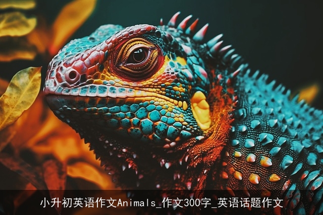 小升初英语作文Animals_作文300字_英语话题作文