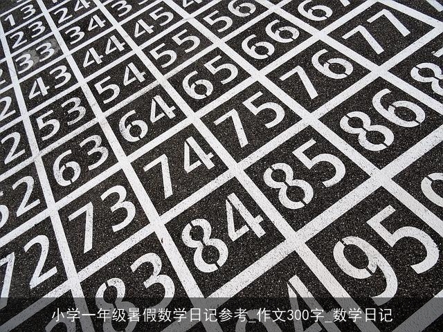 小学一年级暑假数学日记参考_作文300字_数学日记