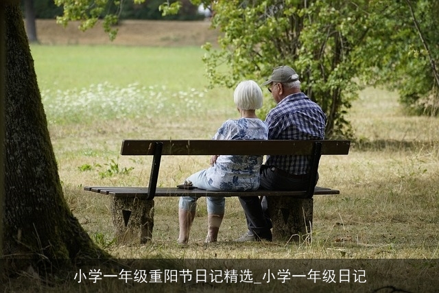 小学一年级重阳节日记精选_小学一年级日记