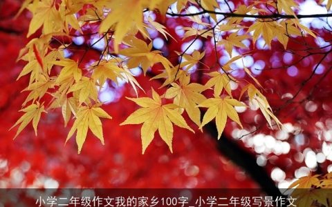 小学二年级作文我的家乡100字_小学二年级写景作文