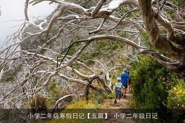 小学二年级寒假日记【五篇】_小学二年级日记