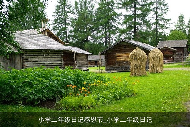 小学二年级日记感恩节_小学二年级日记