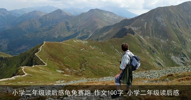 小学二年级读后感龟兔赛跑_作文100字_小学二年级读后感